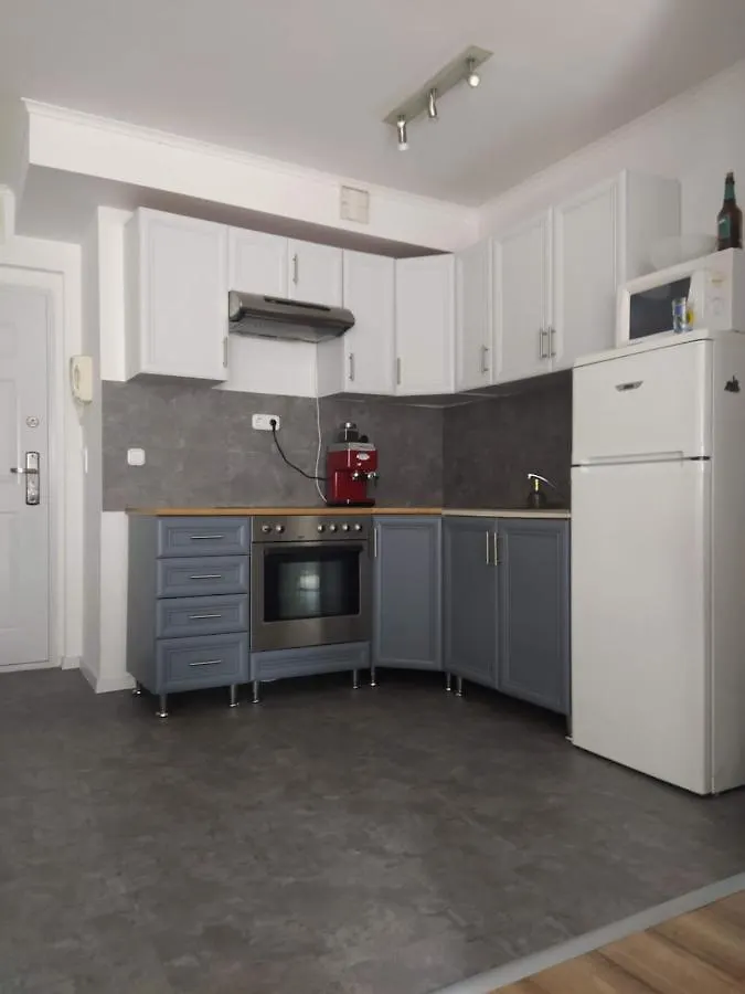 Spacious Apartment In Hip Neighborhood Budapest